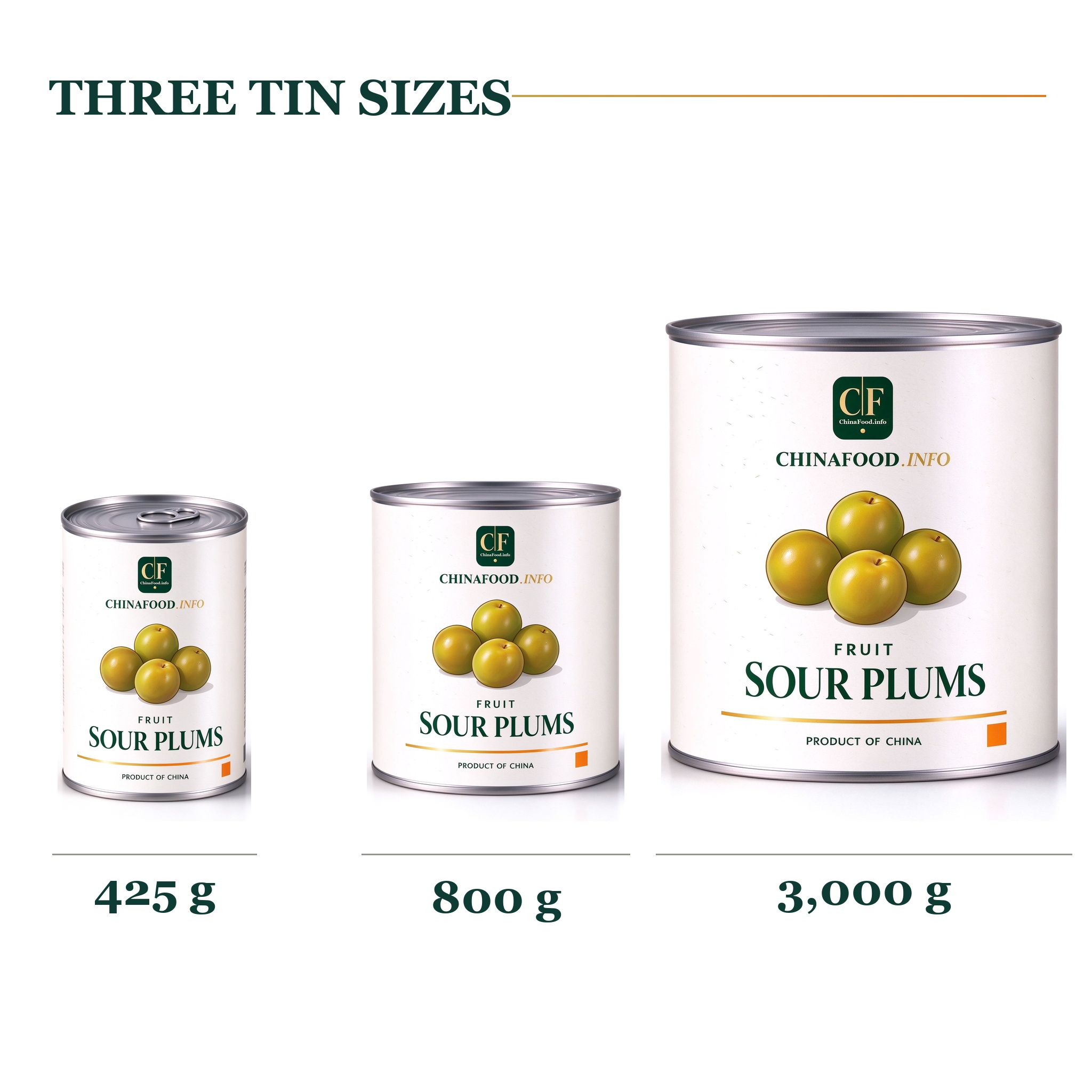 Three tin sizes - 425 g, 800 g and 3,000 g cans of sour plums in light syrup